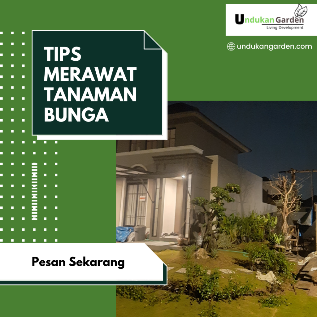 Tips Merawat Tanaman Bunga