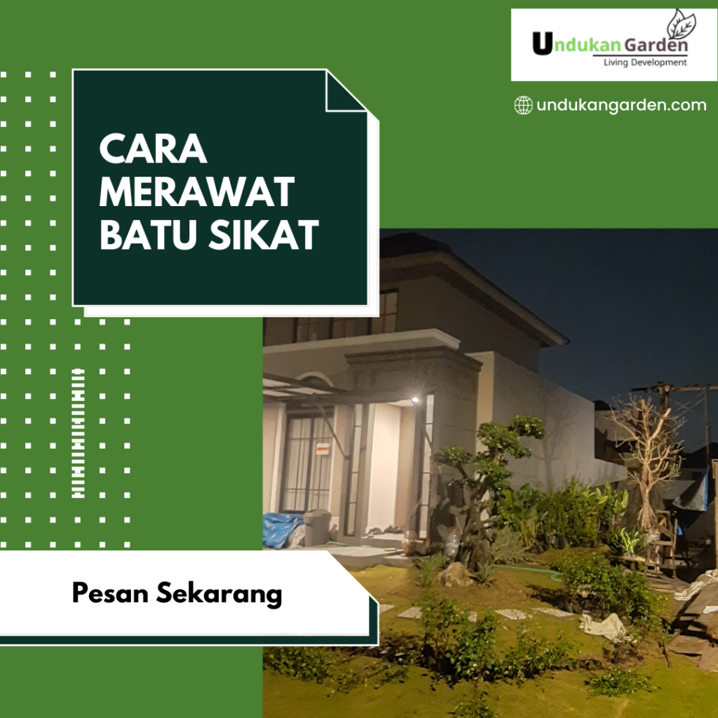 Cara Merawat Batu Sikat