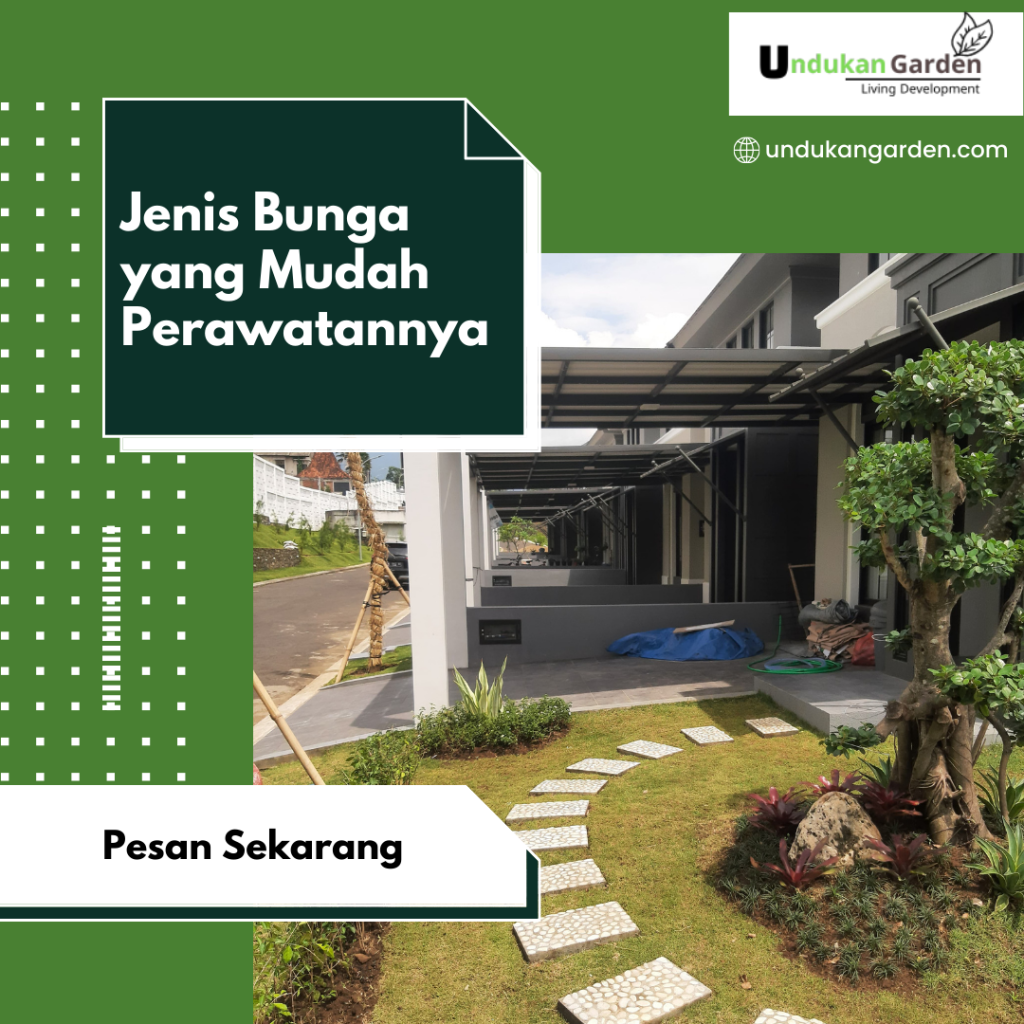 Jenis Bunga yang Mudah Perawatannya