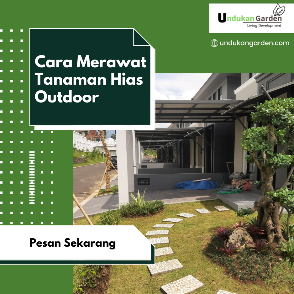 cara merawat tanaman hias outdoor