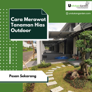 cara merawat tanaman hias outdoor