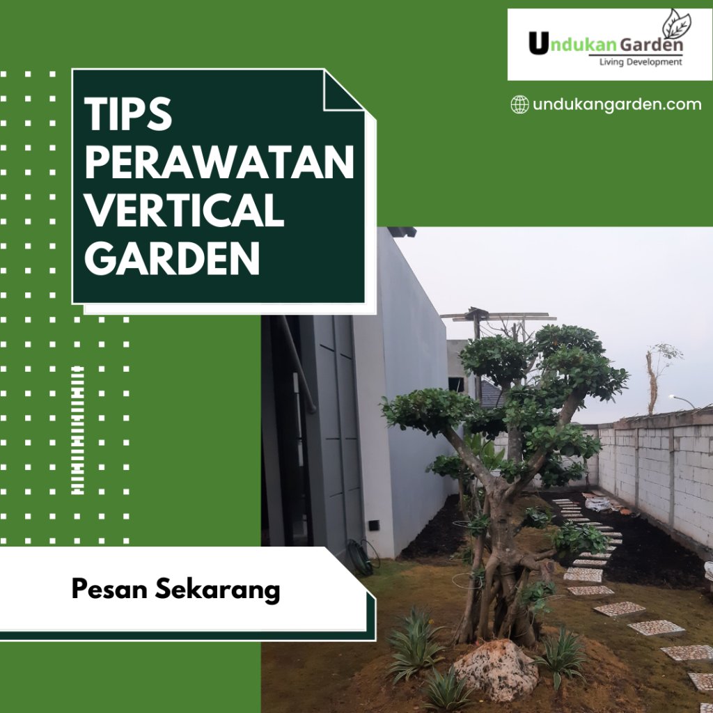 Tips Perawatan Vertical Garden