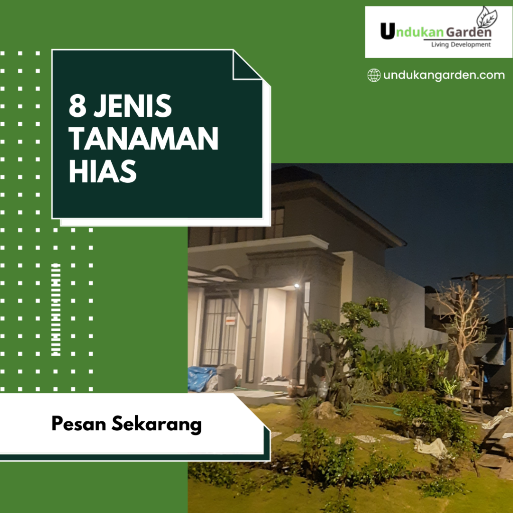 8 Jenis Tanaman Hias