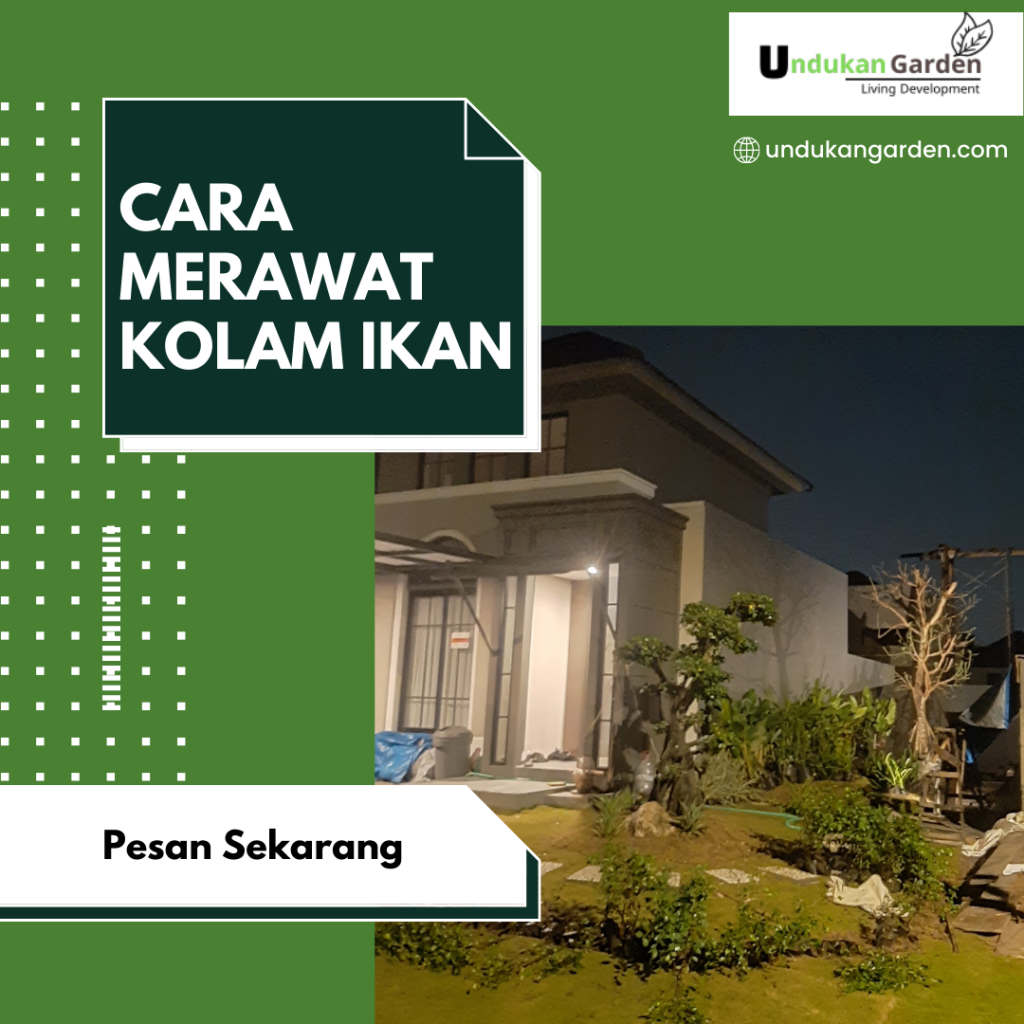 cara merawat kolam ikan 