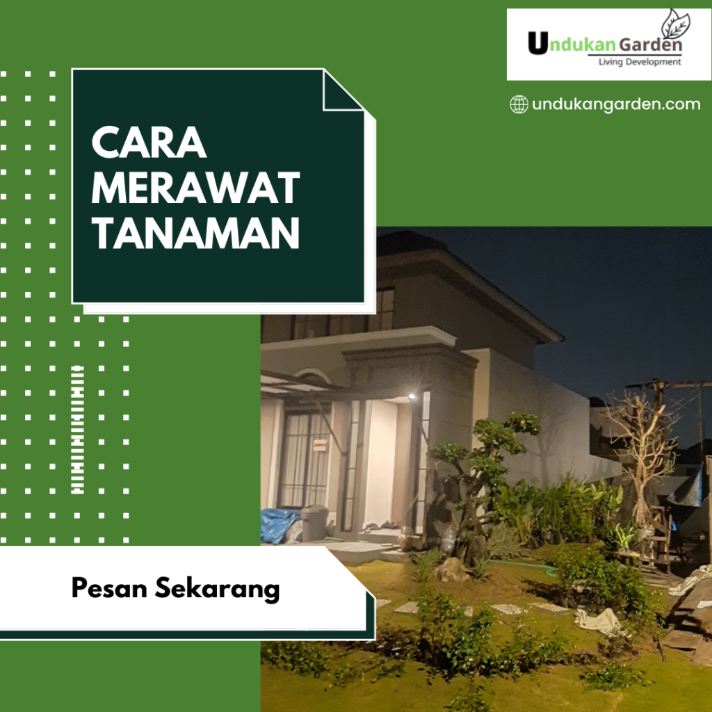 cara merawat tanaman