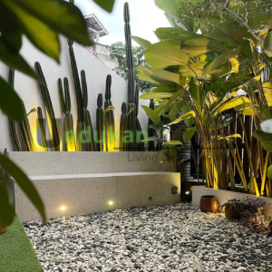 Jasa Perawatan Taman Madiun