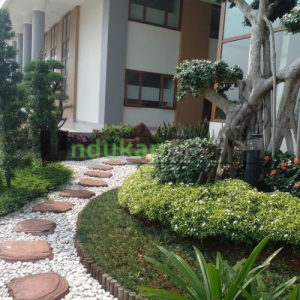 Jasa Perawatan Taman Jombang