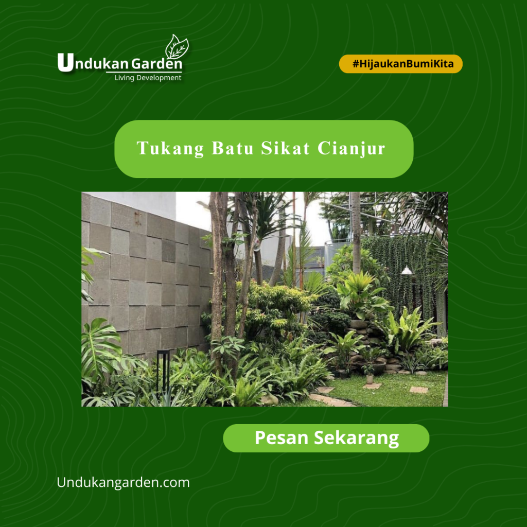 Tukang Batu Sikat Cianjur